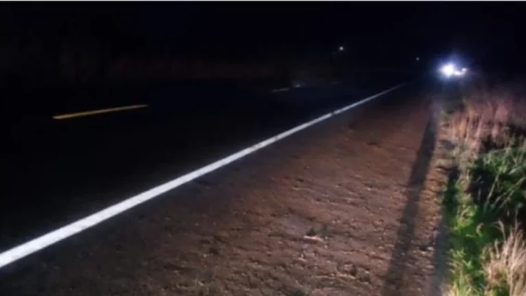Motorista perde controle e veículo capota na 429