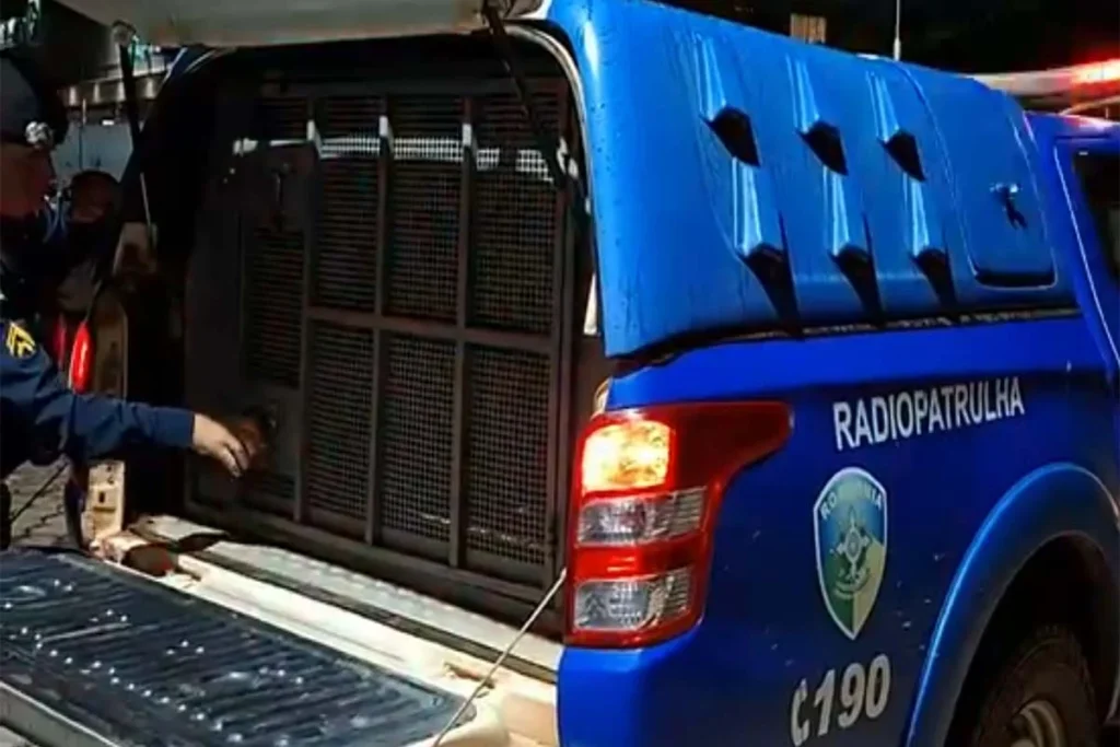 Homem é conduzido a UNISP após intimidar clientes em distribuidora