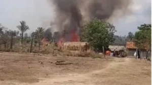 Incêndio destrói roças e deixa comunidade indígena em situação de emergência em Ji-Paraná