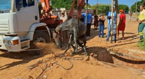 Cavalo cai em fossa e é resgatado em força-tarefa em Ji-Paraná