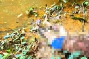 Corpo de homem com sinais de execução é encontrado na zona rural