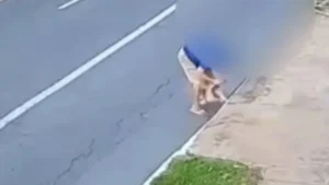 VÍDEO: câmera flagra quando tutor joga a própria cachorra dentro de bueiro