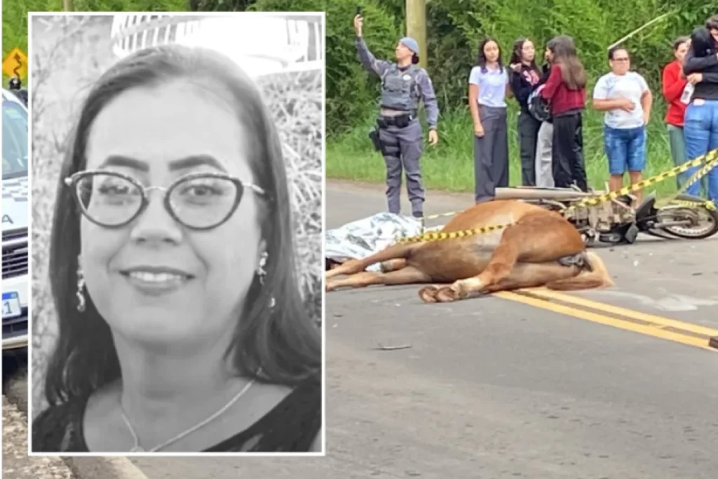 Mulher morre após bater moto contra cavalo; capacete teria causado asfixia