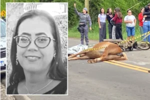 Mulher morre após bater moto contra cavalo; capacete teria causado asfixia